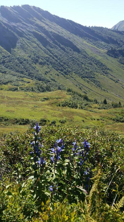 Studio Le Marquis 2 Morzine Ngoại thất bức ảnh