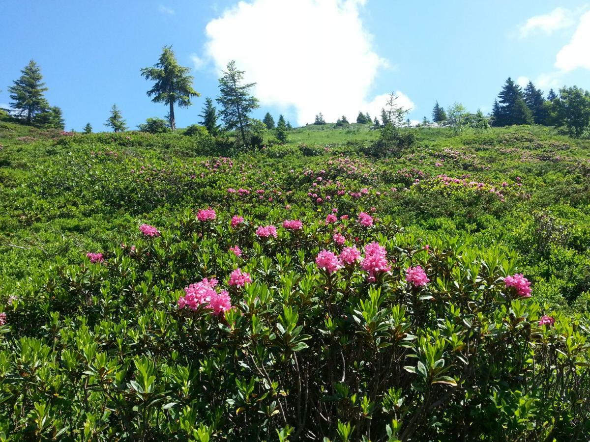 Studio Le Marquis 2 Morzine Ngoại thất bức ảnh