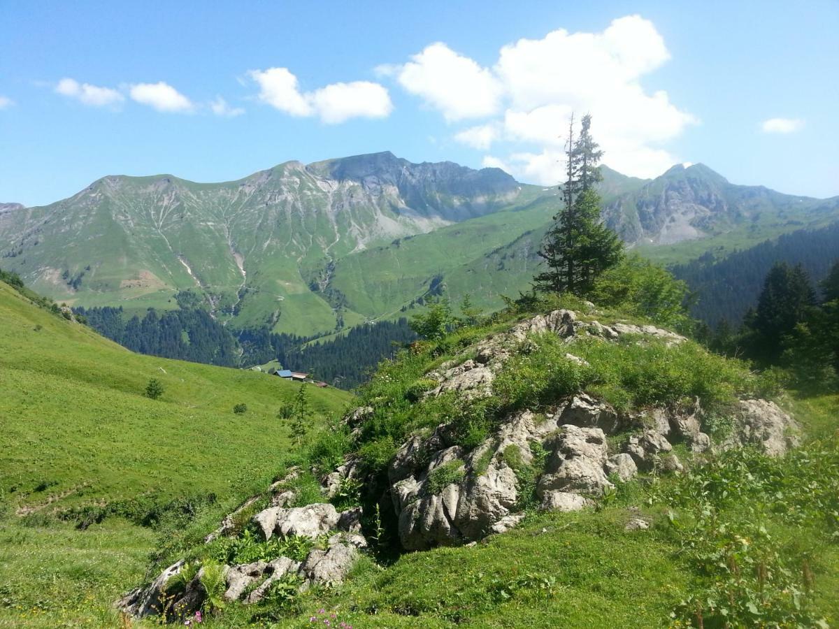 Studio Le Marquis 2 Morzine Ngoại thất bức ảnh